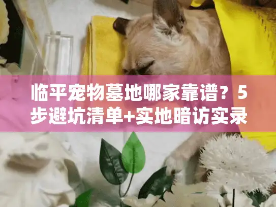 临平宠物墓地哪家靠谱？5步避坑清单+实地暗访实录