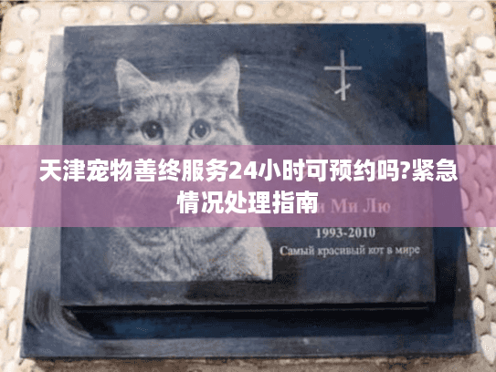 天津宠物善终服务24小时可预约吗?紧急情况处理指南