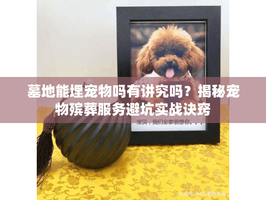 墓地能埋宠物吗有讲究吗？揭秘宠物殡葬服务避坑实战诀窍