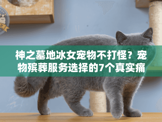 神之墓地冰女宠物不打怪?宠物殡葬服务选择的7个真实痛点及避坑指南 神之墓地冰女宠物不打怪?宠物殡葬服务选择的7个真实痛点及避坑指南