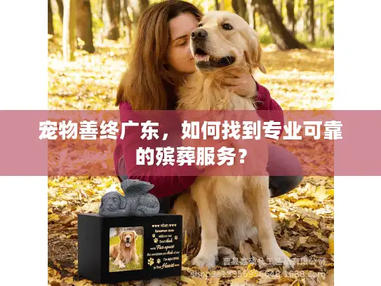 宠物善终广东，如何找到专业可靠的殡葬服务？