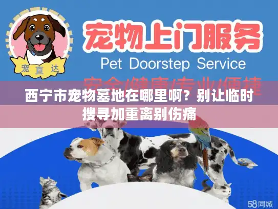 西宁市宠物墓地在哪里啊?别让临时搜寻加重离别伤痛 西宁市宠物墓地在哪里啊?别让临时搜寻加重离别伤痛