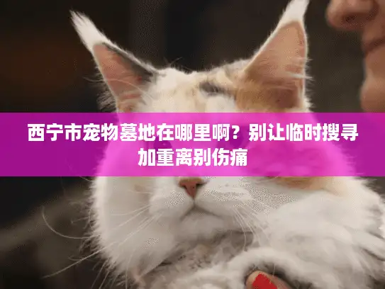 西宁市宠物墓地在哪里啊?别让临时搜寻加重离别伤痛 西宁市宠物墓地在哪里啊?别让临时搜寻加重离别伤痛