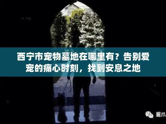 西宁市宠物墓地在哪里有？告别爱宠的痛心时刻，找到安息之地