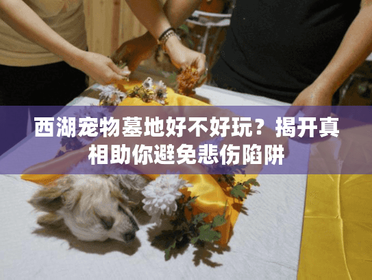 西湖宠物墓地好不好玩？揭开真相助你避免悲伤陷阱