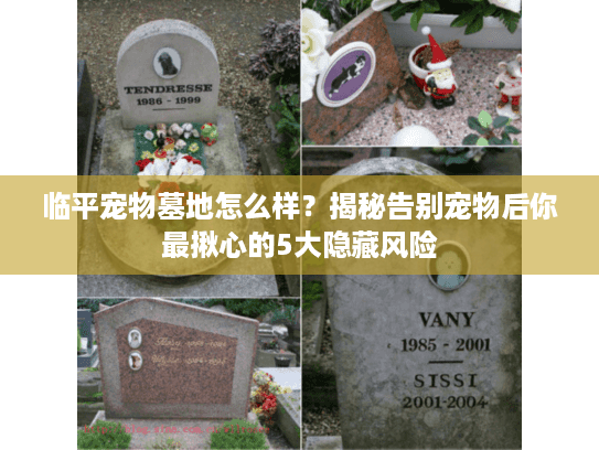 临平宠物墓地怎么样？揭秘告别宠物后你最揪心的5大隐藏风险