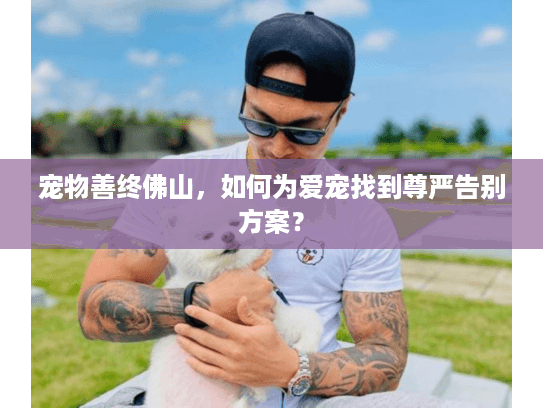 宠物善终佛山，如何为爱宠找到尊严告别方案？