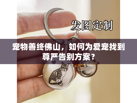 宠物善终佛山，如何为爱宠找到尊严告别方案？