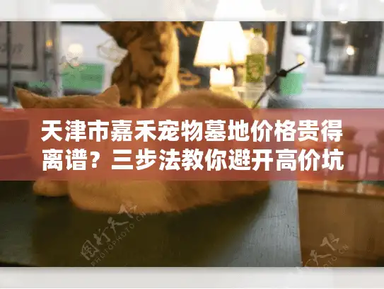 天津市嘉禾宠物墓地价格贵得离谱？三步法教你避开高价坑