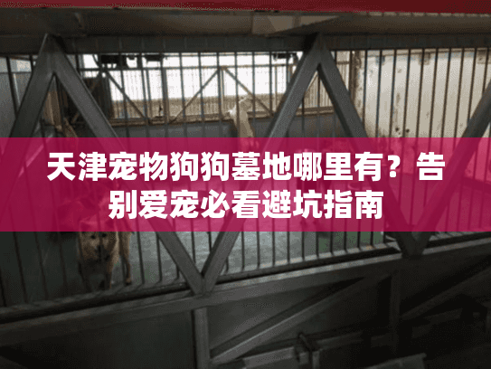 天津宠物狗狗墓地哪里有？告别爱宠必看避坑指南