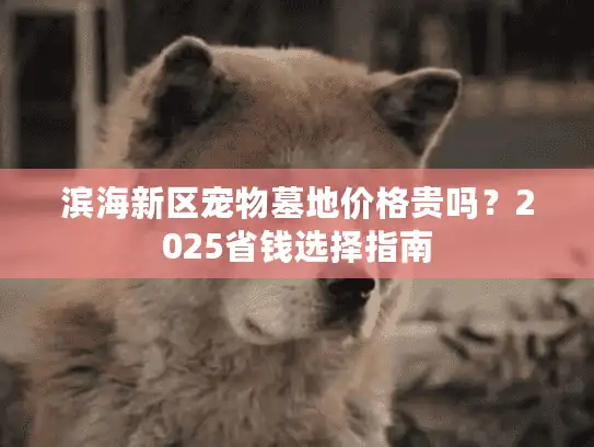 滨海新区宠物墓地价格贵吗？2025省钱选择指南