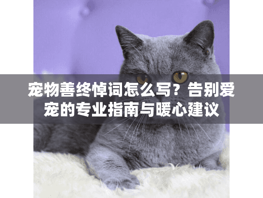 宠物善终悼词怎么写？告别爱宠的专业指南与暖心建议