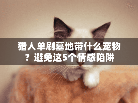 猎人单刷墓地带什么宠物？避免这5个情感陷阱