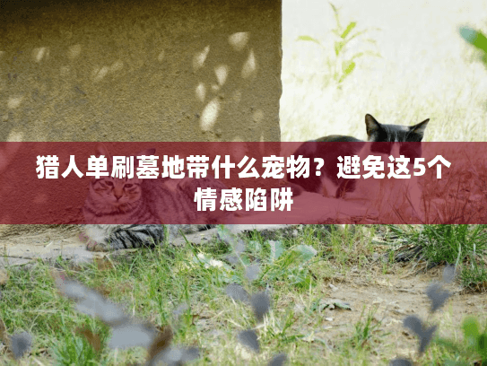 猎人单刷墓地带什么宠物？避免这5个情感陷阱