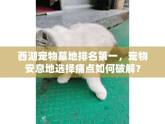 西湖宠物墓地排名第一，宠物安息地选择痛点如何破解？