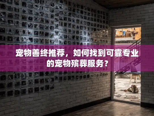 宠物善终推荐，如何找到可靠专业的宠物殡葬服务？