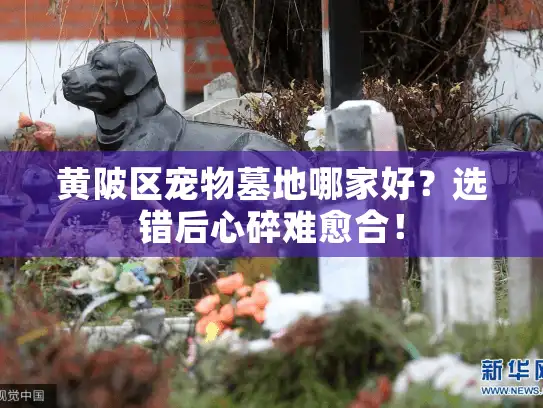 黄陂区宠物墓地哪家好?选错后心碎难愈合! 黄陂区宠物墓地哪家好?选错后心碎难愈合!