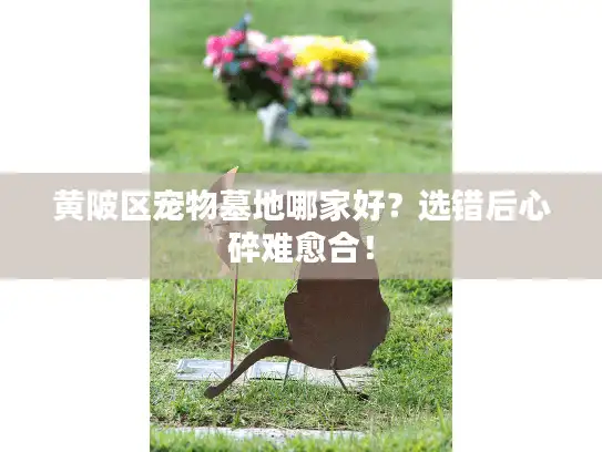黄陂区宠物墓地哪家好?选错后心碎难愈合! 黄陂区宠物墓地哪家好?选错后心碎难愈合!