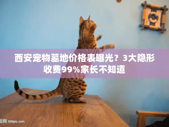 西安宠物墓地价格表曝光？3大隐形收费99%家长不知道