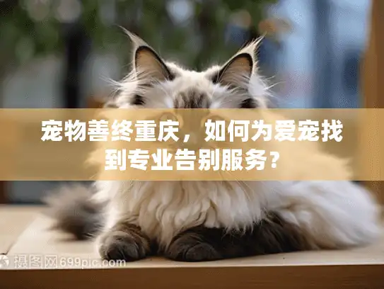 宠物善终重庆,如何为爱宠找到专业告别服务? 宠物善终重庆,如何为爱宠找到专业告别服务?