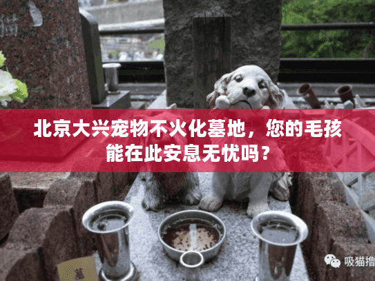 北京大兴宠物不火化墓地，您的毛孩能在此安息无忧吗？