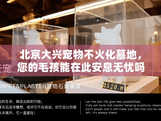 北京大兴宠物不火化墓地，您的毛孩能在此安息无忧吗？