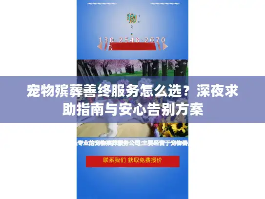 宠物殡葬善终服务怎么选？深夜求助指南与安心告别方案