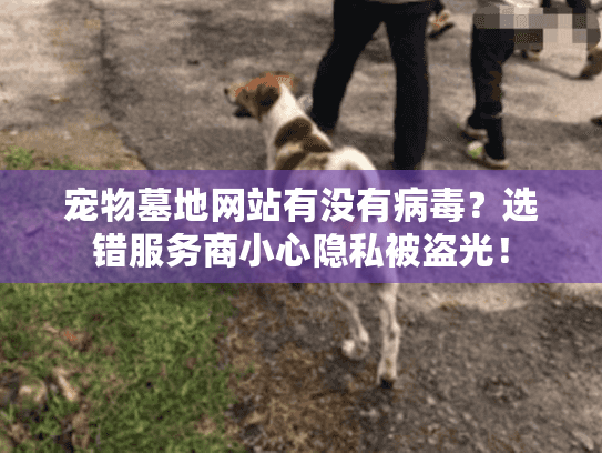 宠物墓地网站有没有病毒？选错服务商小心隐私被盗光！