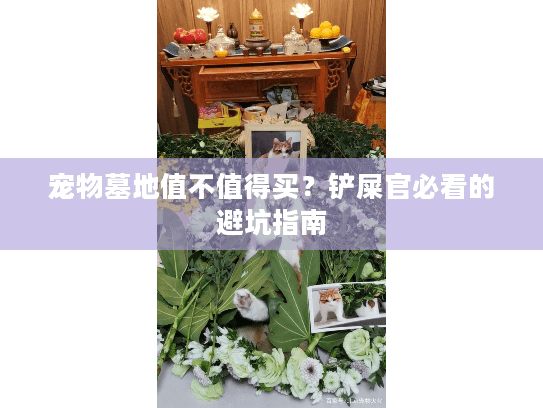 宠物墓地值不值得买？铲屎官必看的避坑指南