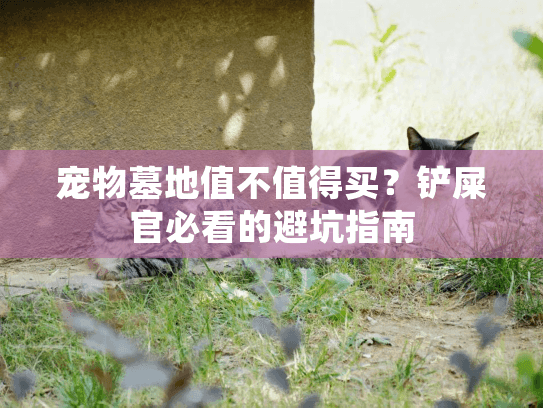 宠物墓地值不值得买？铲屎官必看的避坑指南