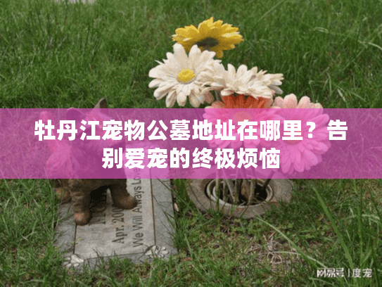 牡丹江宠物公墓地址在哪里？告别爱宠的终极烦恼