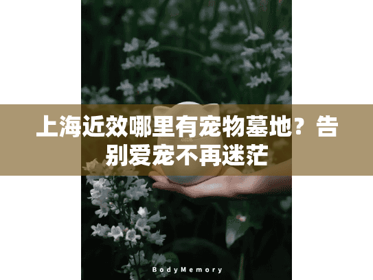 上海近效哪里有宠物墓地？告别爱宠不再迷茫