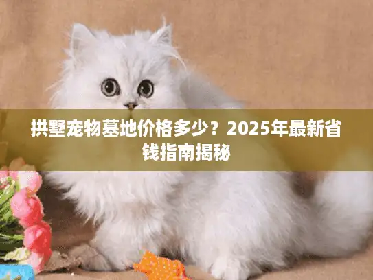 拱墅宠物墓地价格多少？2025年最新省钱指南揭秘