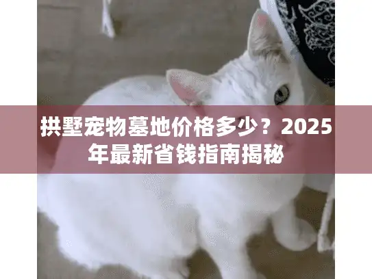 拱墅宠物墓地价格多少？2025年最新省钱指南揭秘