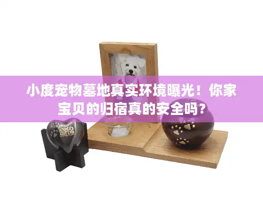 小度宠物墓地真实环境曝光！你家宝贝的归宿真的安全吗？