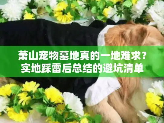 萧山宠物墓地真的一地难求？实地踩雷后总结的避坑清单