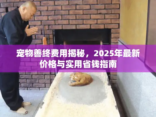 宠物善终费用揭秘，2025年最新价格与实用省钱指南