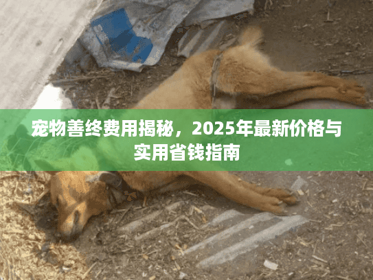 宠物善终费用揭秘，2025年最新价格与实用省钱指南