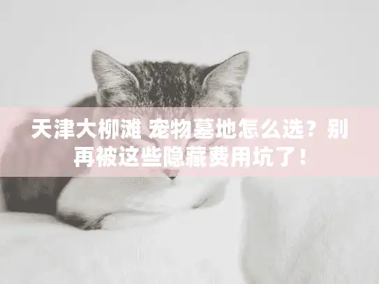 天津大柳滩 宠物墓地怎么选？别再被这些隐藏费用坑了！