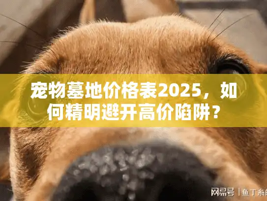 宠物墓地价格表2025，如何精明避开高价陷阱？