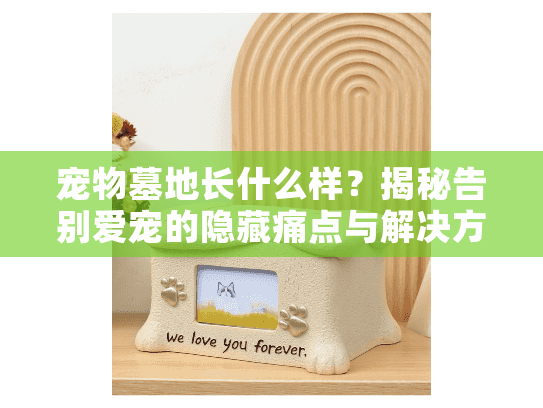 宠物墓地长什么样？揭秘告别爱宠的隐藏痛点与解决方案