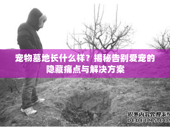 宠物墓地长什么样？揭秘告别爱宠的隐藏痛点与解决方案