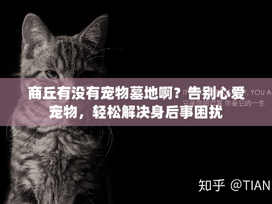 商丘有没有宠物墓地啊?告别心爱宠物,轻松解决身后事困扰 商丘有没有宠物墓地啊?告别心爱宠物,轻松解决身后事困扰