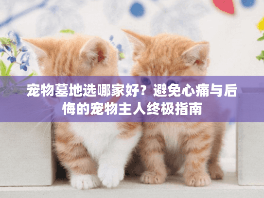 宠物墓地选哪家好？避免心痛与后悔的宠物主人终极指南