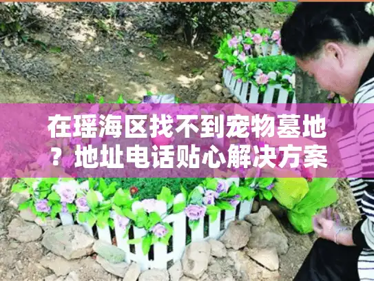 在瑶海区找不到宠物墓地？地址电话贴心解决方案