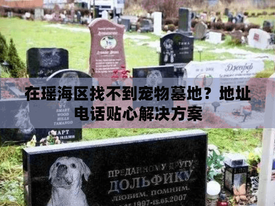 在瑶海区找不到宠物墓地？地址电话贴心解决方案