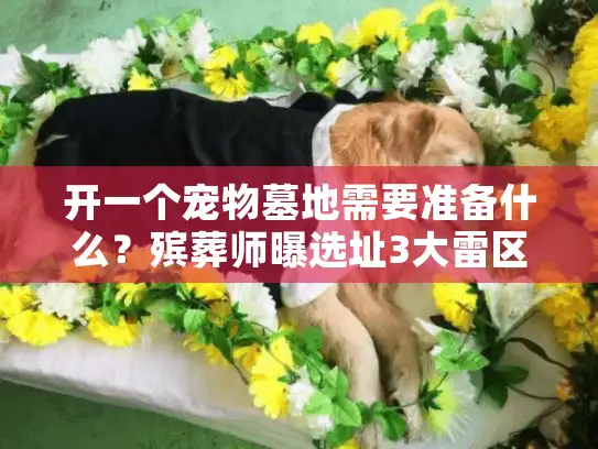 开一个宠物墓地需要准备什么？殡葬师曝选址3大雷区与运营真相