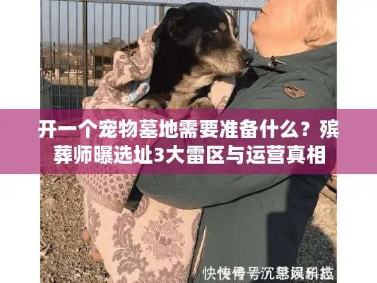 开一个宠物墓地需要准备什么？殡葬师曝选址3大雷区与运营真相