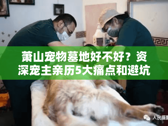 萧山宠物墓地好不好?资深宠主亲历5大痛点和避坑攻略 萧山宠物墓地好不好?资深宠主亲历5大痛点和避坑攻略