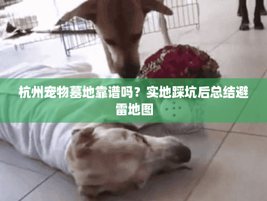 杭州宠物墓地靠谱吗？实地踩坑后总结避雷地图